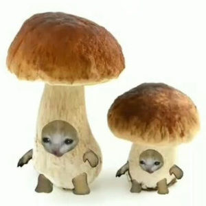 Meet your Posher, Yajaira